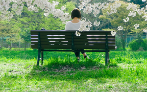 It's More Than A Park Bench.