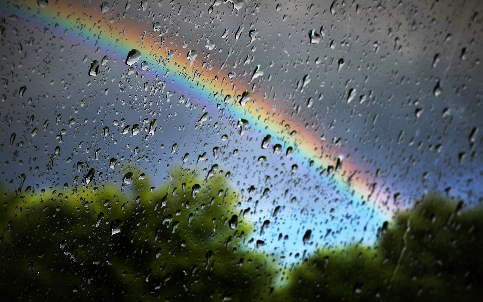 The Rainbow Baby
