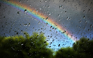 The Rainbow Baby