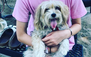 Schmoopy Wasn't Just a Dog
