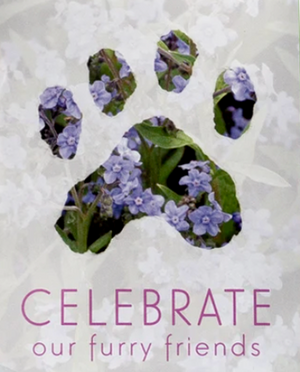 Parting Tails®  Pet Memorial Gift Box by Robins Lore